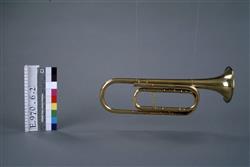 Trompette naturelle | F. Besson
