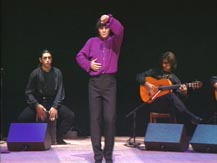 Flamenco à la cité. Soirée Canales - La Tani | Antonio Canales