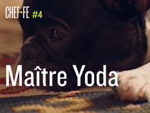 CHEF.FE : maître Yoda, épisode 4 | Lucie Leguay